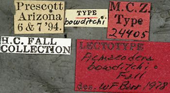 Media type: image;   Entomology 24405 Aspect: labels